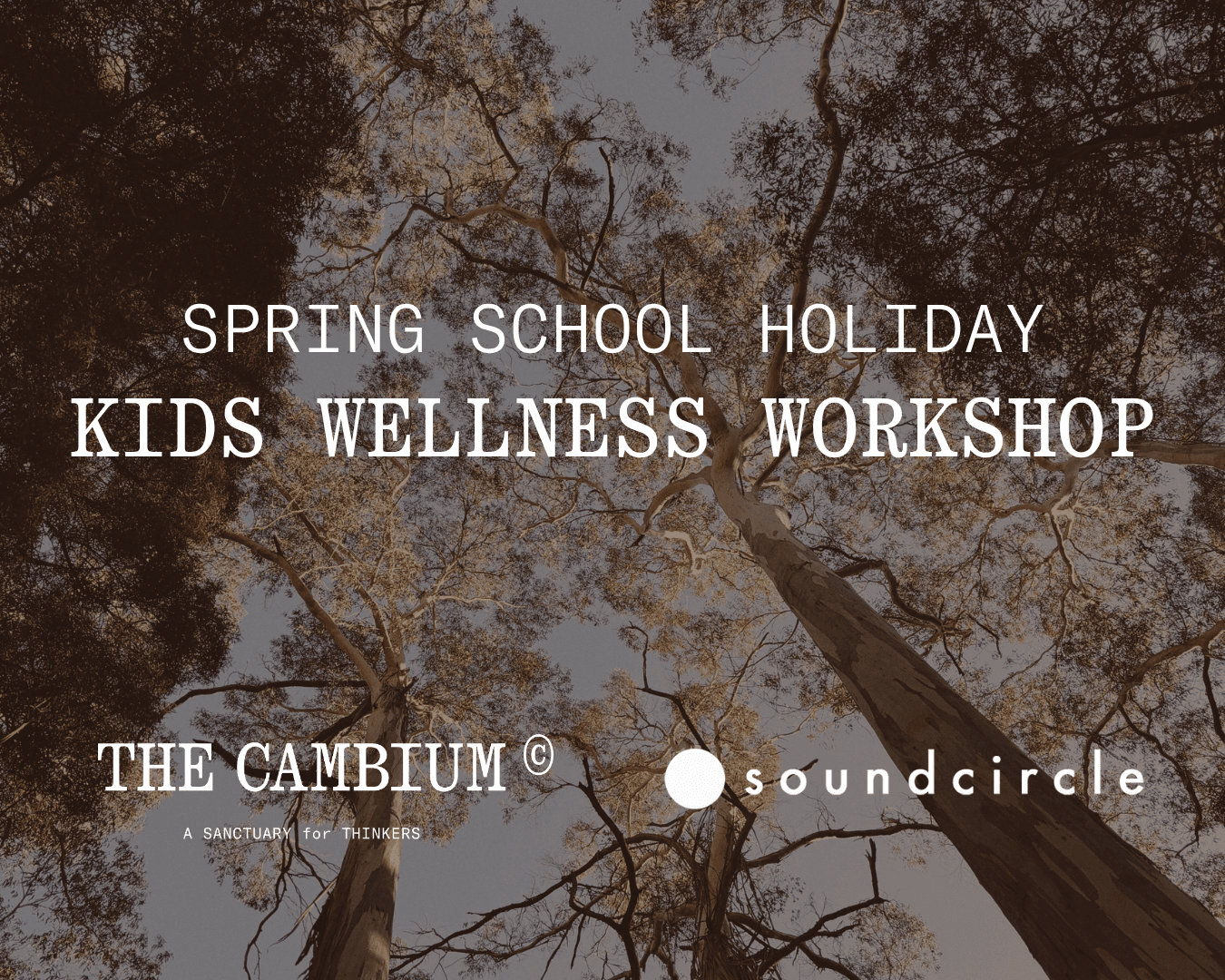Kids Holiday Wellness Workshop at The Cambium