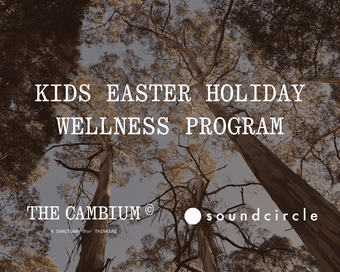 Kids Easter Holiday Wellness Program at The Cambium