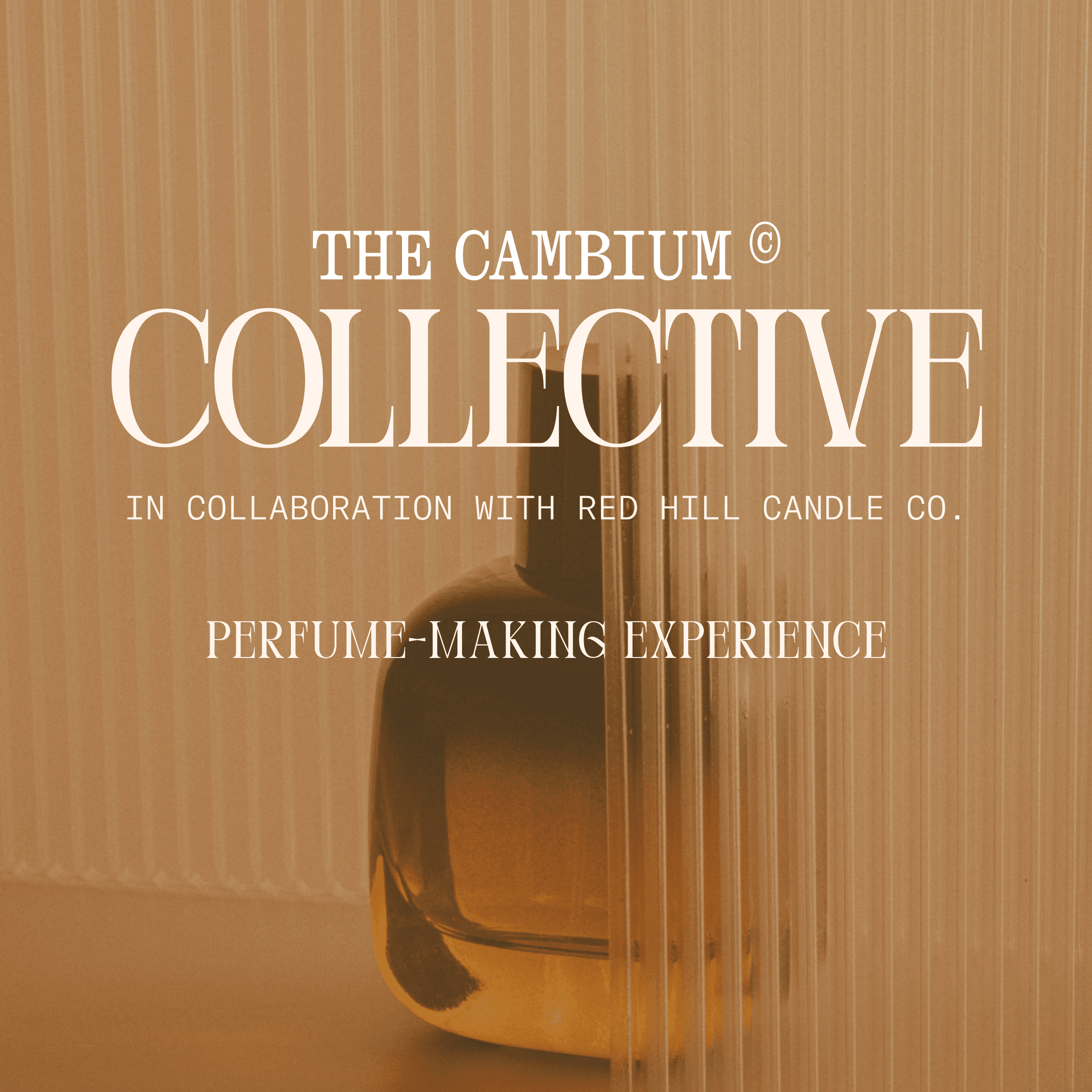 THE CAMBIUM COLLECTIVE - Perfume-making workshop