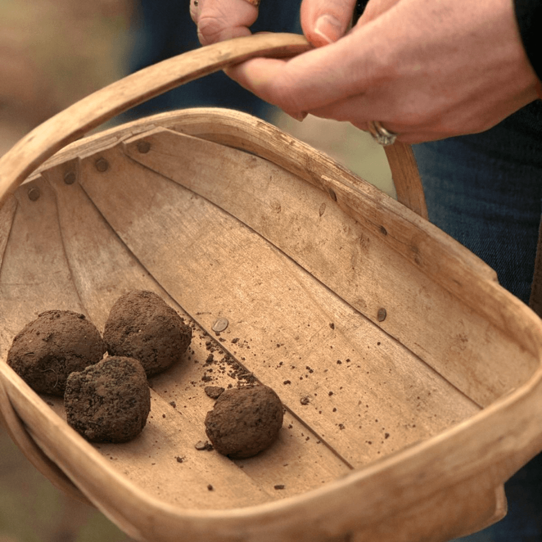 Truffle to Table - A forager's feast